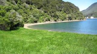 preview picture of video 'Banheiro em trilha na Nova Zelandia - NZ Picton's track toilet'