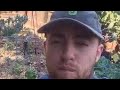 Mac Miller Life Is Good Though Song