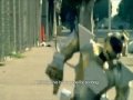 Sum41 Walking Disaster Original Video Lyrics HQ
