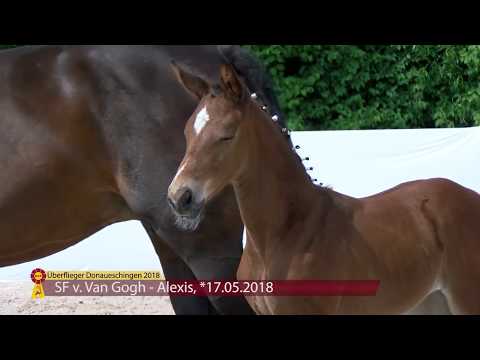 KN 14: SF v. Van Gogh - Alexis