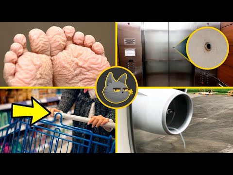 30 Curiosidades Que No Sabías En 10 Minutos | 13