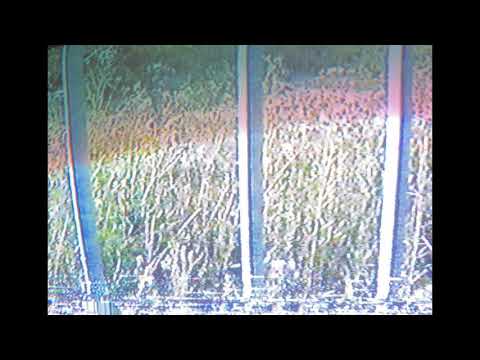 [Free] Bones (SurrenderDorothy) Type Beat - "LostFragment"