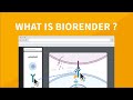Welcome to BioRender!