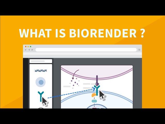 About BioRender