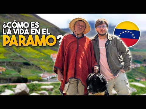 Así es la vida en el PÁRAMO de MÉRIDA, VENEZUELA 🇻🇪 (+4,000 m.s.n.m)