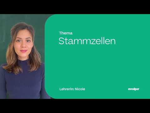 Meristeme, embryonale & adulte Stammzellen