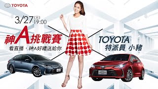 神A再進化Toyota COROLLA ALTIS上市發表會 小豬Ｘ張景嵐
