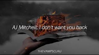 AJ Mitchell - I Don&#39;t Want You Back (Lyrics | Lyric Video)
