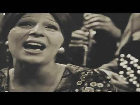 Maja Danilovic-Zasto mi srce rani