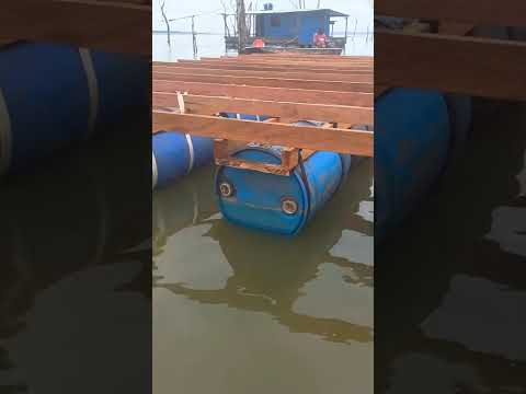 #pescaria mata dos macacos Guaraci São Paulo