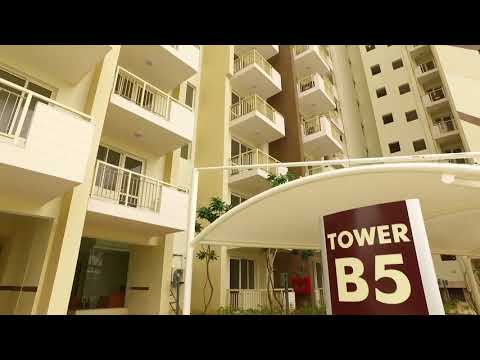 Walkthrough Walkthrough