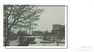雪遊び➕Tiktok