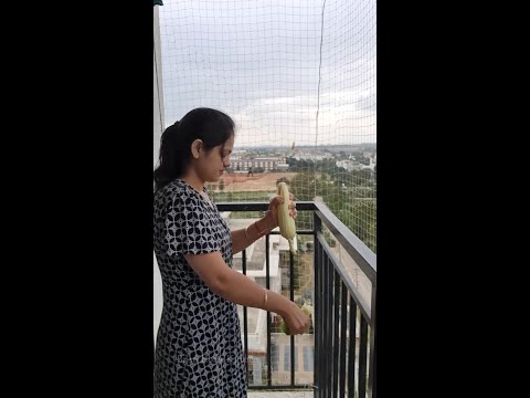 शाम होते ही बच्चों को भूख लग जाती है, समझ नही आता है क्या दे?? Healthy Corn Cheese Roll