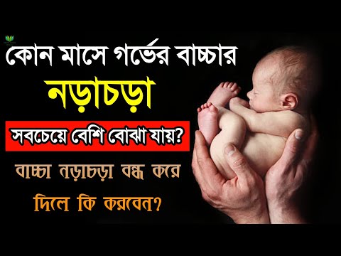গর্ভের বাচ্চা কোন মাসে সবচেয়ে বেশি নড়ে? || বাচ্চা নড়াচড়া বন্ধ করে দেয়ার কারন কি? || fetal movement