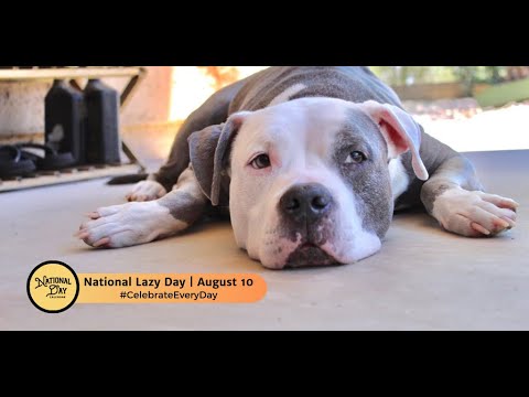 National Lazy Day | August 10
