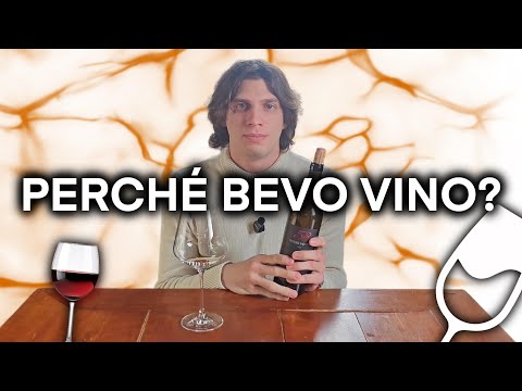 PERCHÉ BEVO VINO ? 🍷🔥⚠️