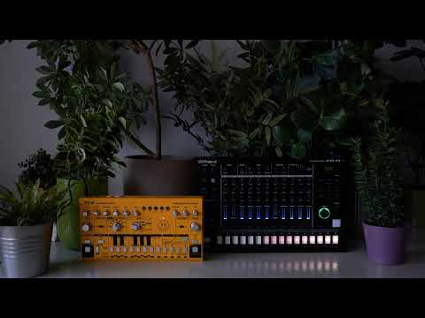 Snot Monkey - Acid 067 (Roland TR-8S, JU-06A, Behringer TD-3) (Slow minimal acid)