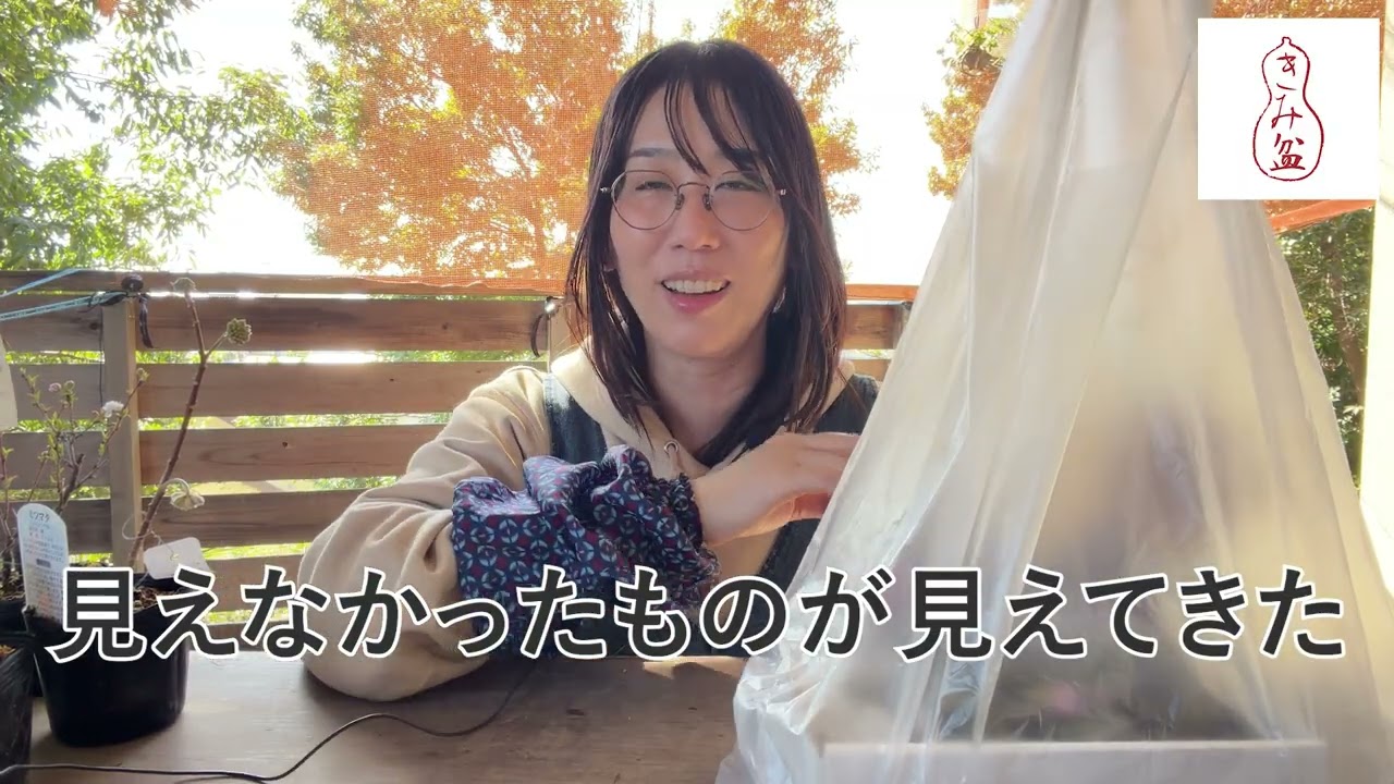 山草フェアで雪割草に目覚めかけました