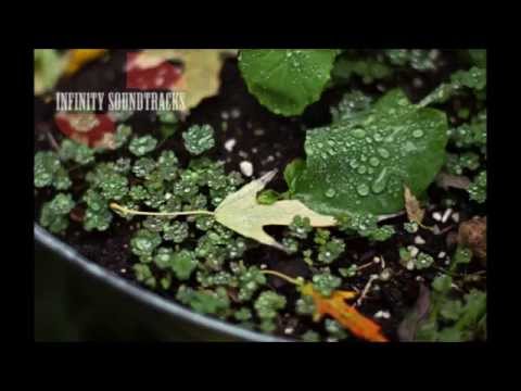 Santé - Awake feat J.U.D.G.E (Pablo Nouvelle Remix)