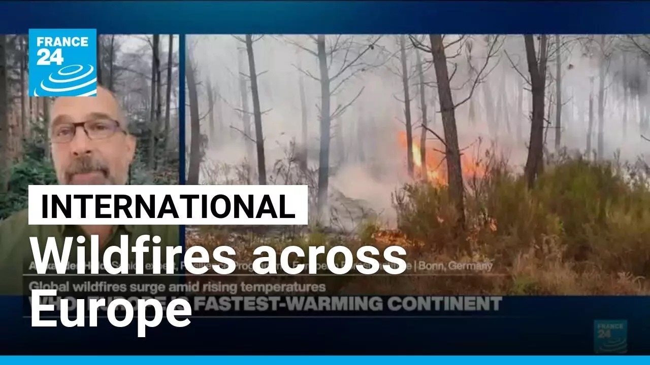 Europe battles wildfires and braces for another summer heatwave • FRANCE 24 English