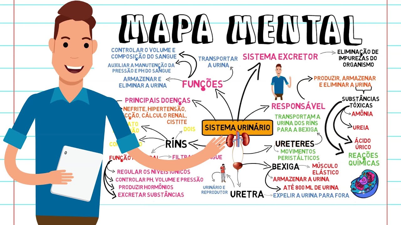 MAPA MENTAL - SISTEMA URINÁRIO