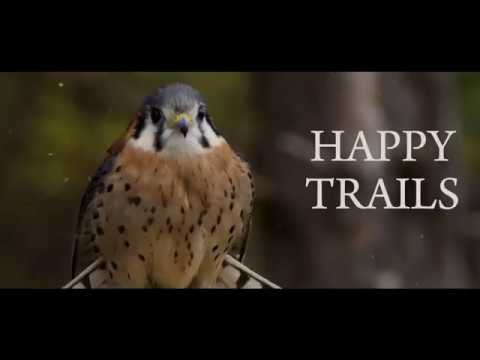 Rapidgrass Happy Trails