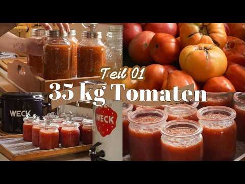 Canning 35 kg of tomatoes 🍅 Crockpot salsa, basic tomato sauce & cucumber salad | Canning weekend...