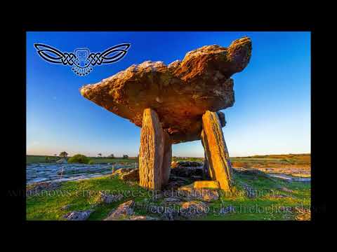 The Song of Amergin - A glimpse from the album Omnisutra Runesong by Gavin Shri Amneon