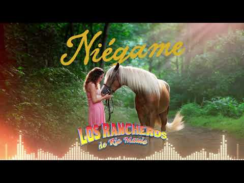Los Rancheros de Río Maule - Niégame (Visualizer)