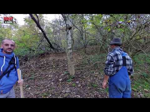 Mighindoala, satul sibian în care doar Dumnezeu mai locuiește