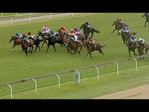 HIGH BORN LADY - Vaal 5/12/20