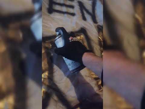 DERBY ŁODZI DLA WIDZEWA 🇦🇹💪🍻RTS NSD'17