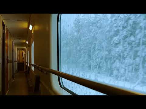 10 Hour Train Ride Through a Winter Forest in Russia | White Noise Sleep Aid ASMR