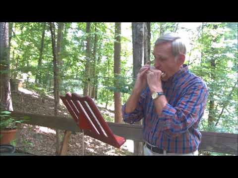 Roger C. Vogel (Faculty Emeritus): "The Harmonica Player"