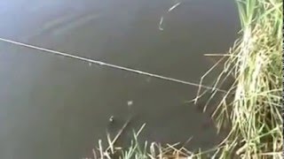 Рыбалка на резинку с сеткой