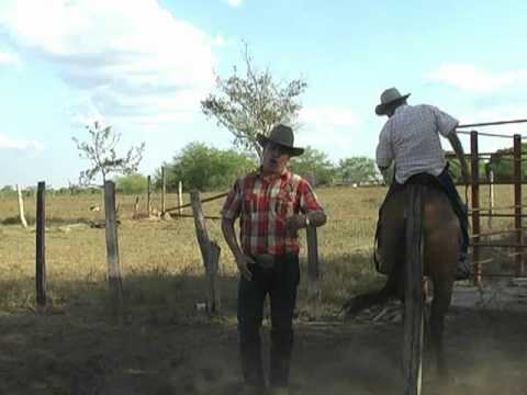 Cabalgando por el Llano