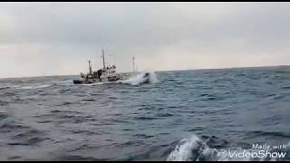 Малый рыболовный сейнер мрс-80