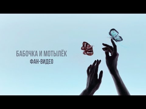 Владимир Пресняков - Бабочка и мотылёк (фан-видео)