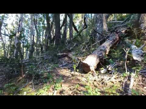 La NATURALEZA es para disfrutar en silencio #verano 2025 #trekking #cordillera #asmr #raw #argentina