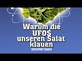 Warum die UFOs unseren Salat klauen | Trailer (deutsch) ᴴᴰ