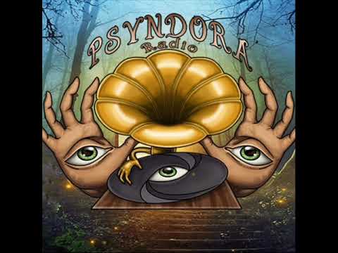 GIPSY SOUL - Live Set 2018 for Psyndora Radio Show (24.11.2018)