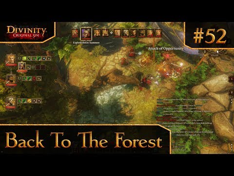 Divinity: Original Sin - Multiplayer - #52