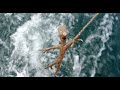 Knerten og sjøormen / Twigson and the Sea Monster (trailer)