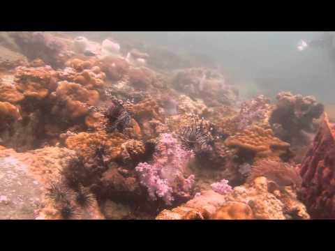 Lipe 2012 [SeaZaa Gang]