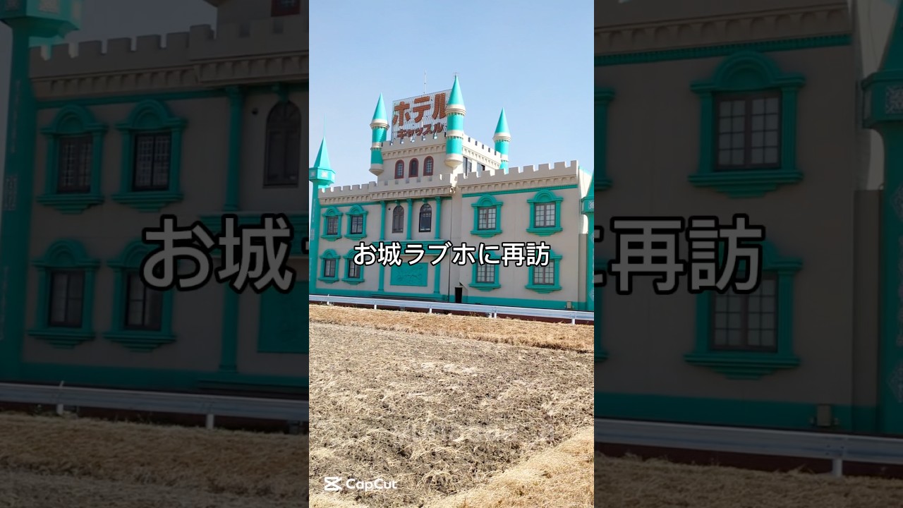 田んぼの中にポツン、お城ラブホ #shorts #ホテル #ラブホ