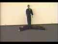 Ashida Kim Ninja Invisibility