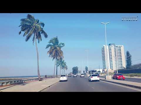 Rocha Firme Studio 2020