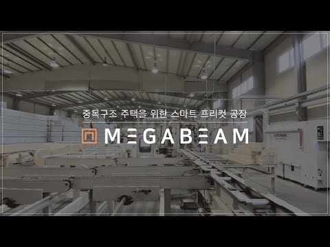 MEGABEAM 중목프리컷 브랜드 메가빔