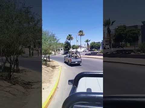 pura marina #marina #semar #military #shortvideo