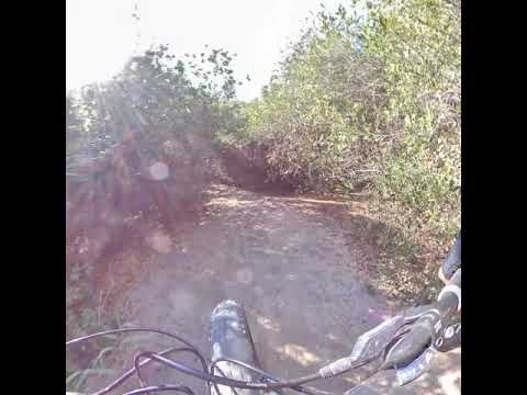 Von Strand zurück zum Park Albatros (San Vincenzo, Bella Italia)